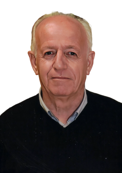 ROSSANO BRANDOLINI-artguru-artguru