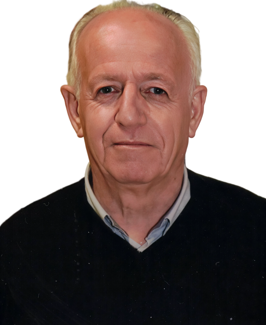 ROSSANO BRANDOLINI-artguru-artguru